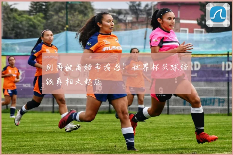 别再被高赔率诱惑！世界杯买球赔钱真相大起底